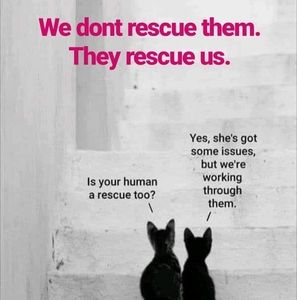 Meet your Posher, Cynthia